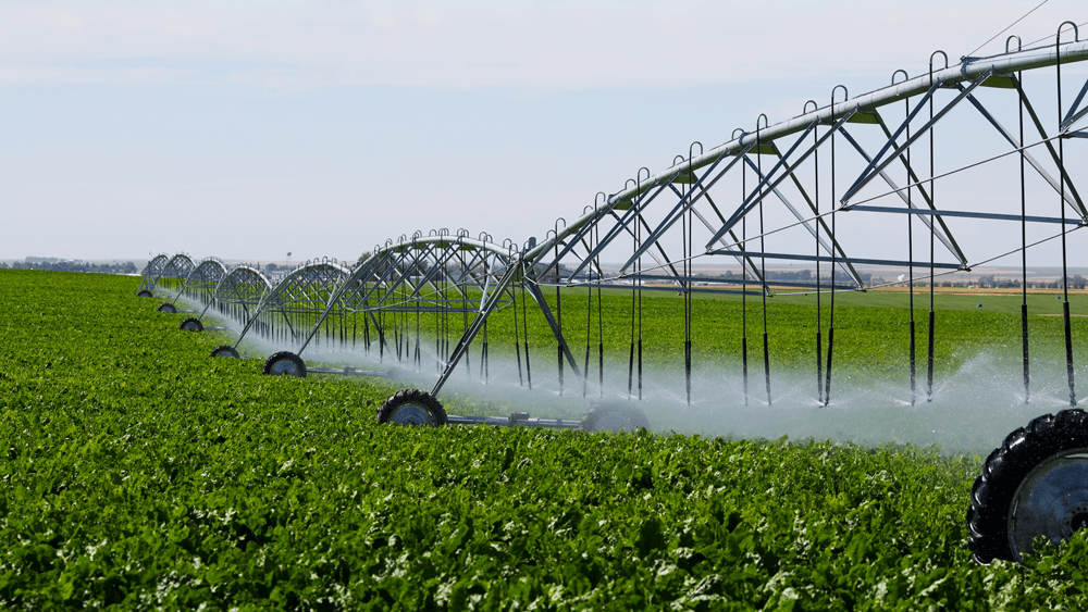 Water reuse irrigation