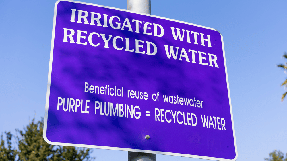 Irrigated with recycled water